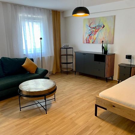 Air-Conditioned, Quiet Apartment With A Terrace In Center Of St Poelten - Smart Tv Sankt Poelten Exterior foto