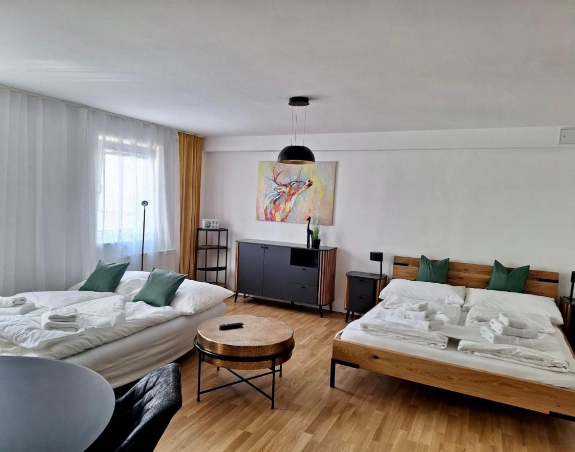 Air-Conditioned, Quiet Apartment With A Terrace In Center Of St Poelten - Smart Tv Sankt Poelten Exterior foto